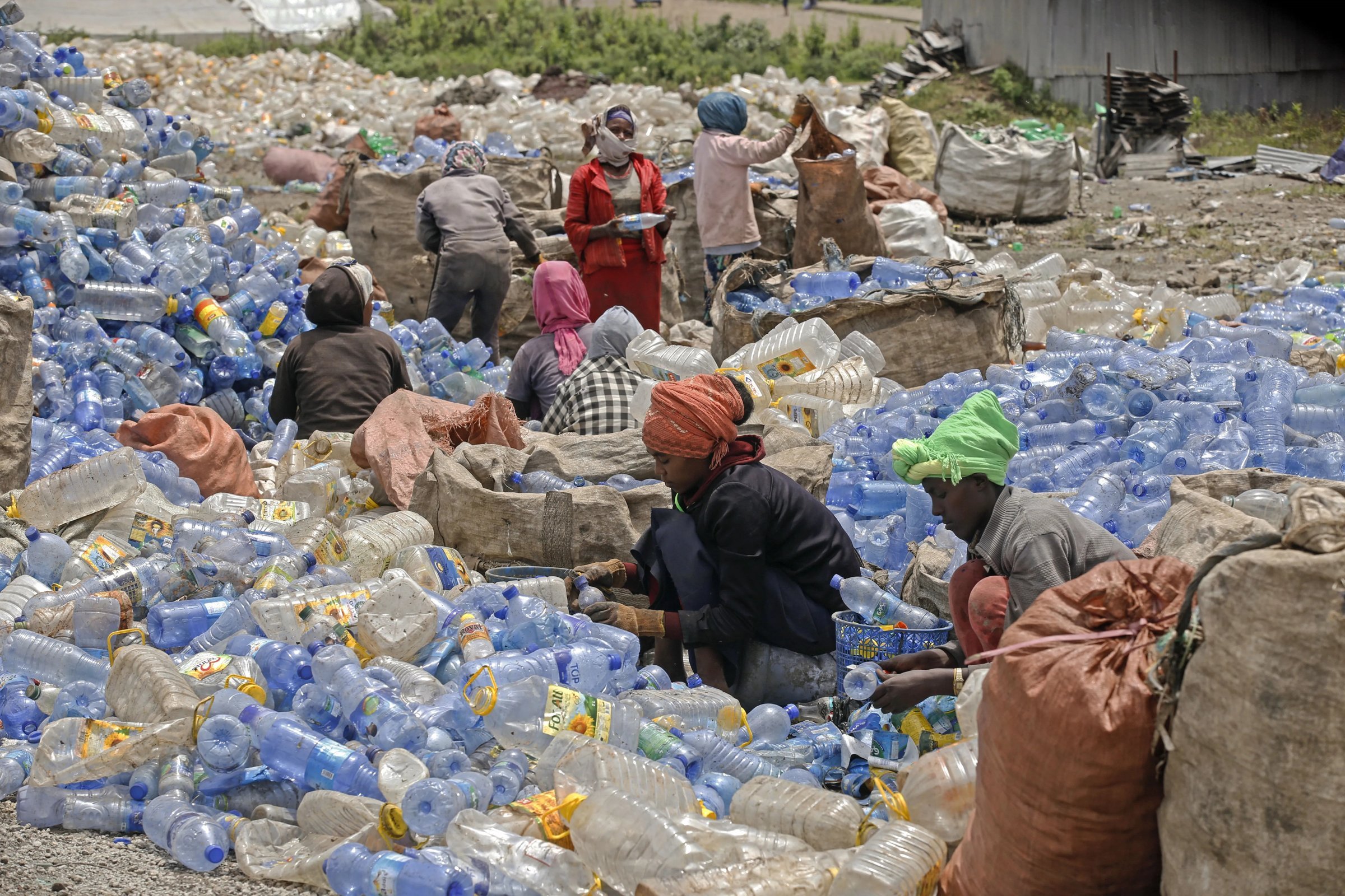 People sorting discarded bottles beside bags of collected materials.