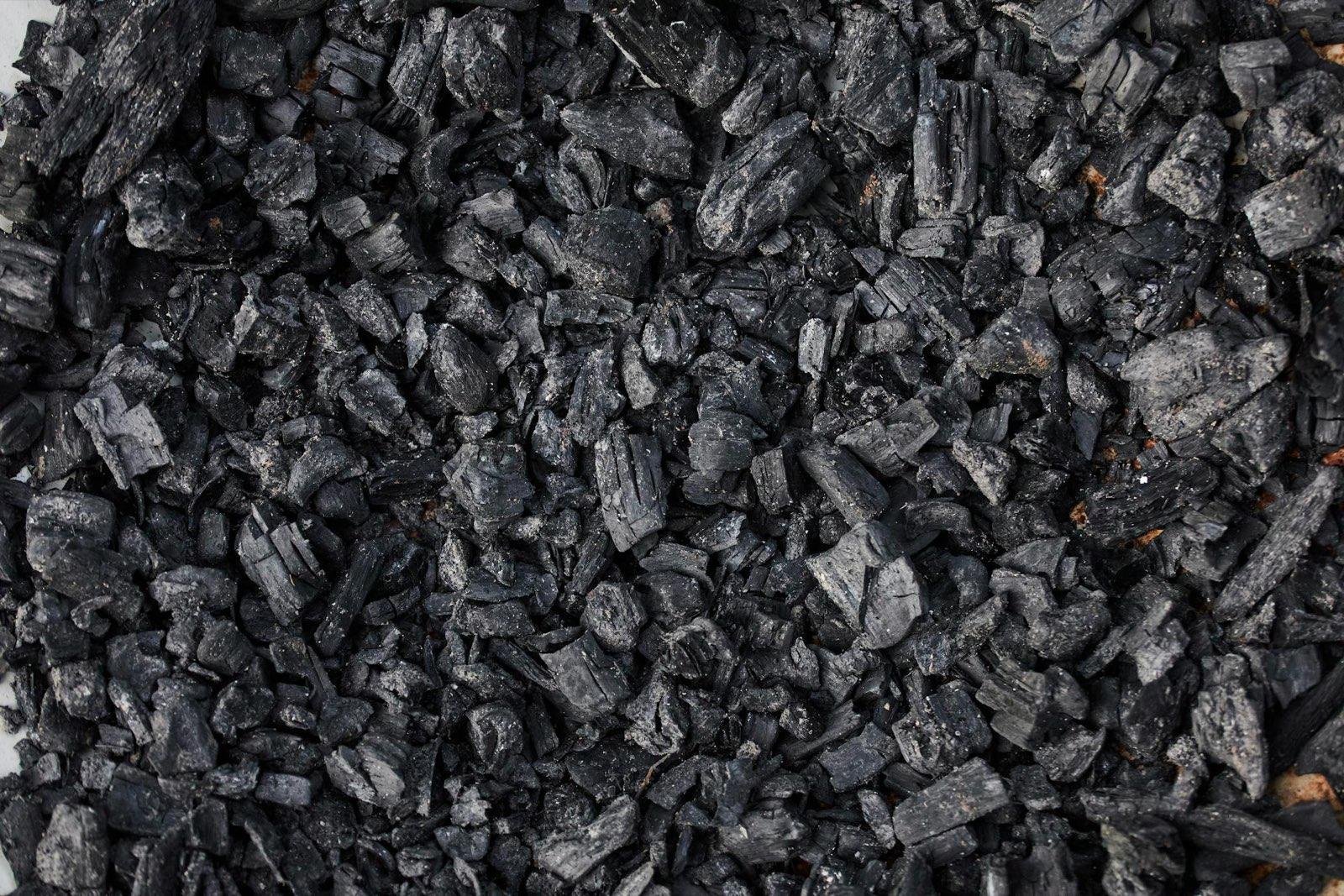 Close-up of black charcoal fragments with visible porous texture.